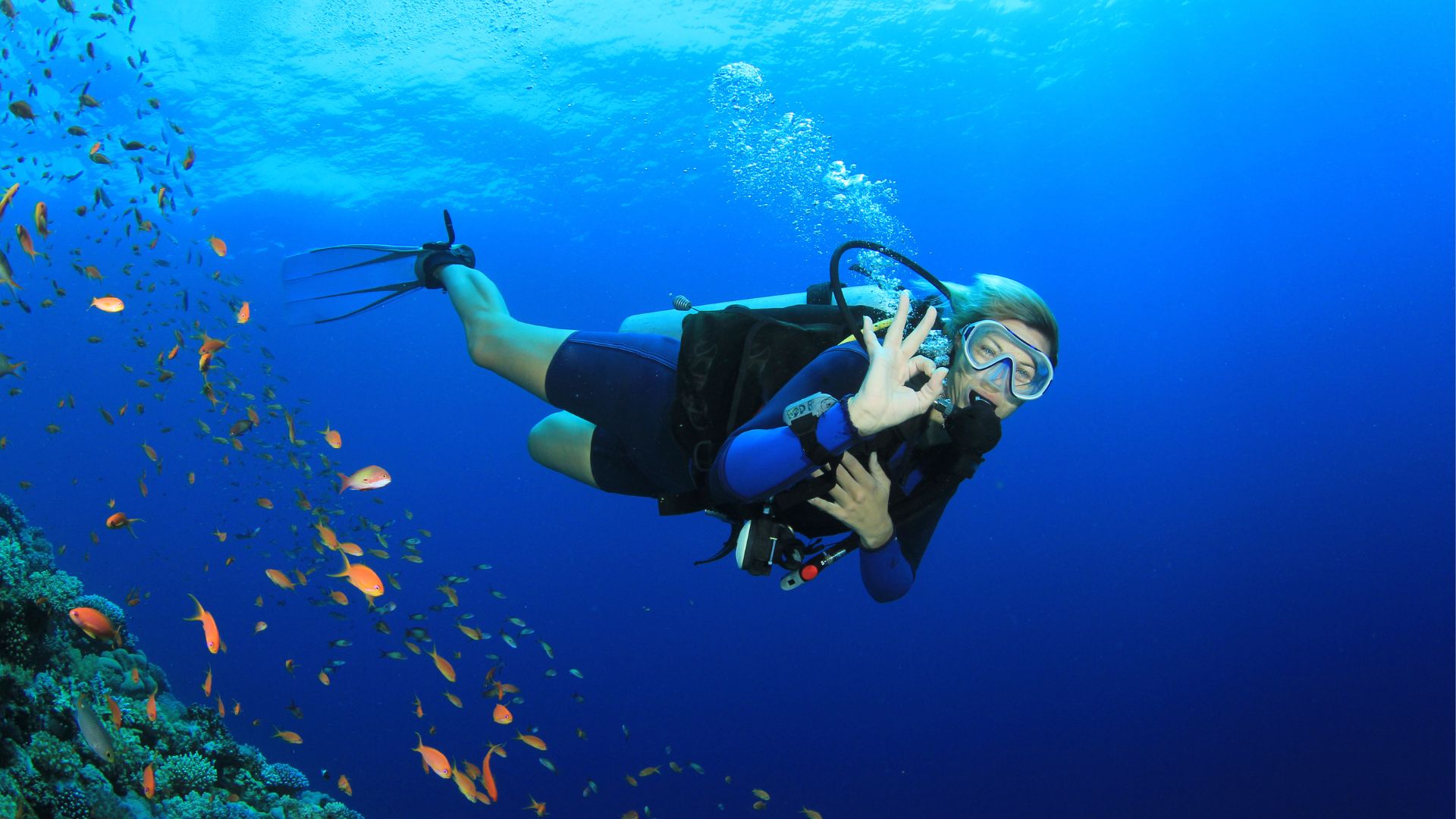 Basic Diver