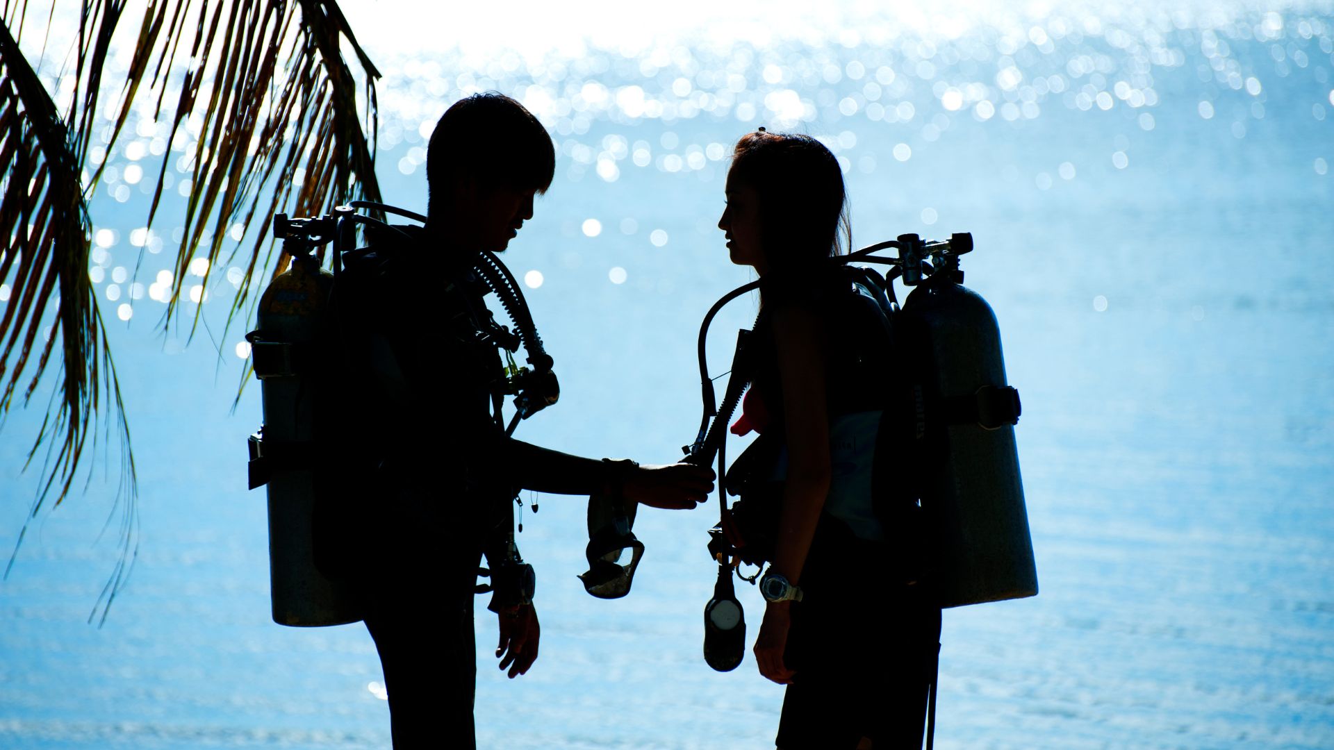 Divemaster