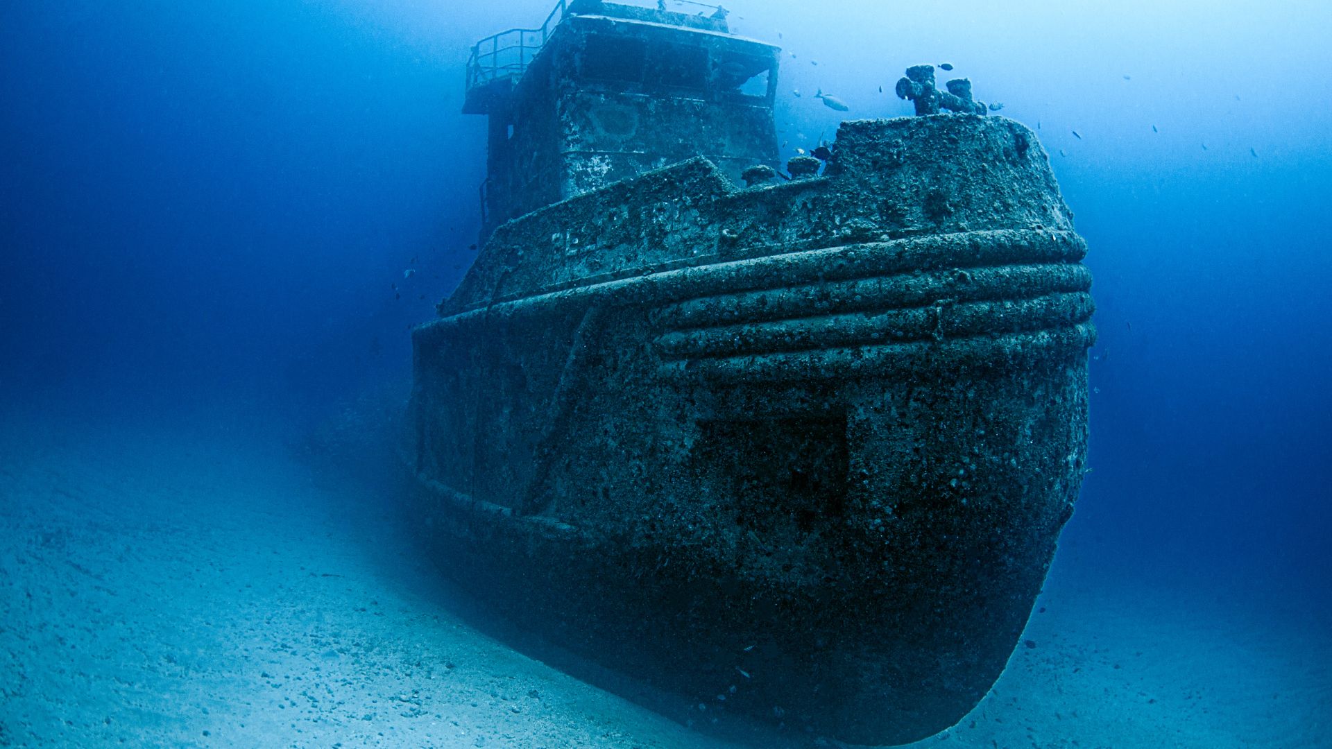 Barco Hundido C-53 + Arrecife Cozumel