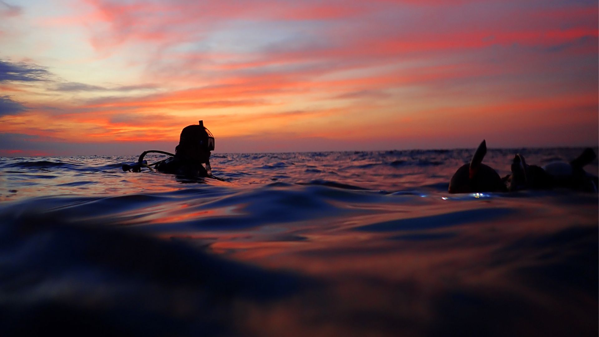 Buceo Nocturno — Isla de Cozumel