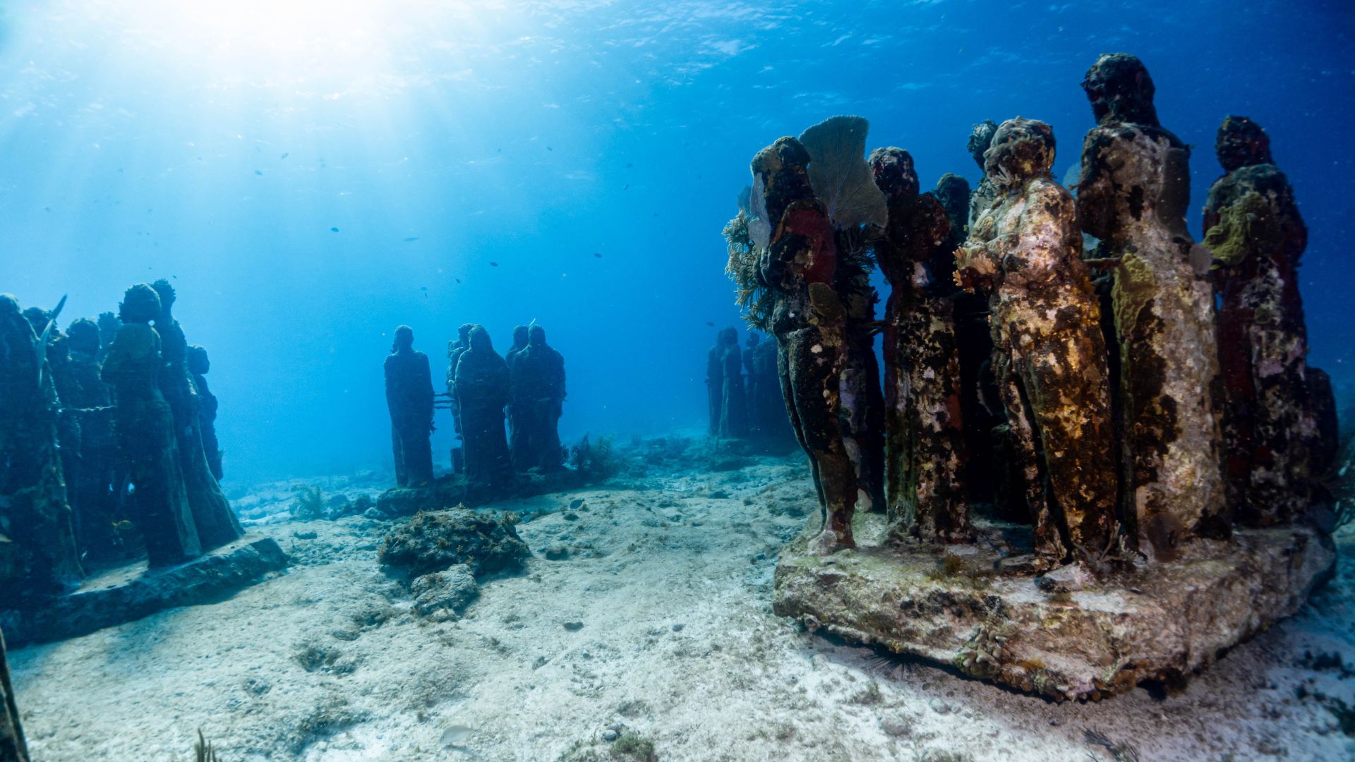 M.U.S.A — Isla Mujeres