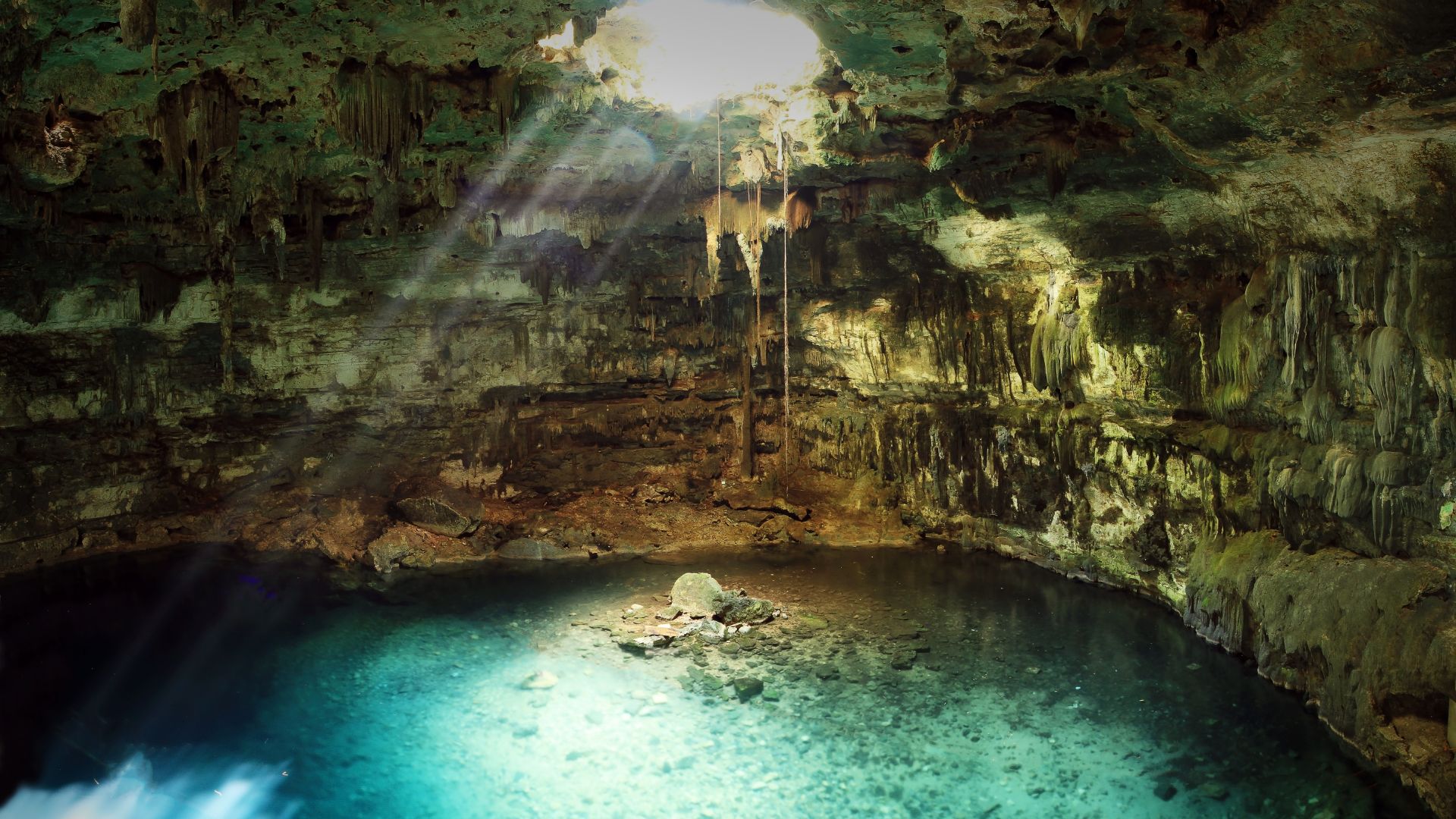 Ruta de los Cenotes — Puerto Morelos