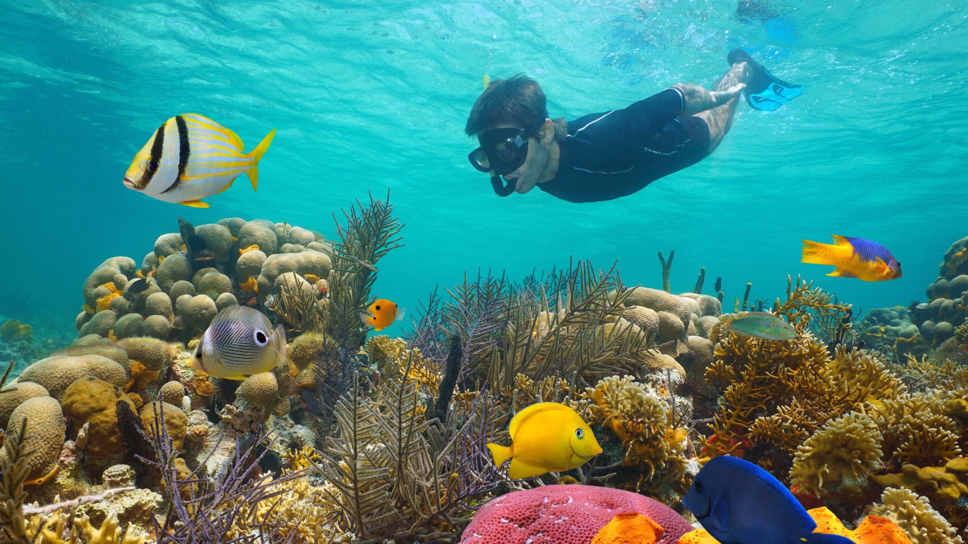 Snorkel — Isla de Cozumel